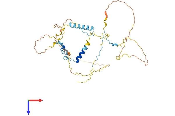 TSSC4 Protein (AA 1-329) (His tag)