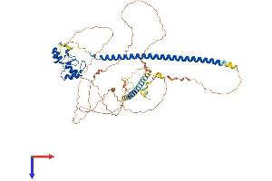 RNF168 Protein (AA 1-565) (His tag)