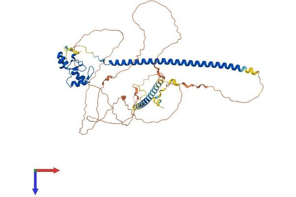 RNF168 Protein (AA 1-565) (His tag)