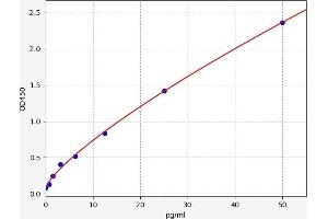 Endothelin 2 ELISA Kit