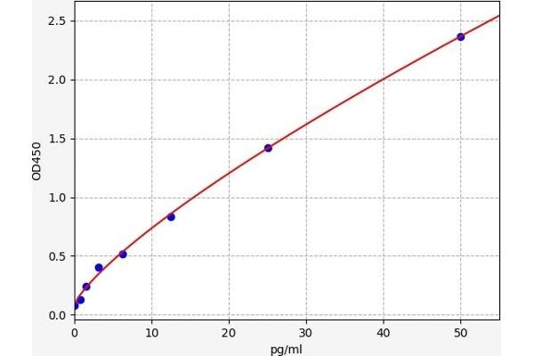 Endothelin 2 ELISA Kit