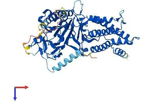 FTO Protein (AA 1-505) (His tag)