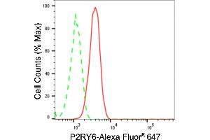 Flow cytometric analysis of P2RY6 expression in HT- cells using P2RY6 antibody (ABIN7800076), 1:2,000). (Rekombinanter P2RY6 Antikörper)