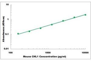 Representative Standard Curve (CHL1 ELISA Kit)