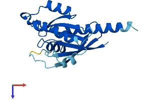 RABL4 Protein (AA 1-186) (His tag)