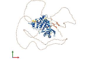 Protein Structure (PS) image for Dual-Specificity tyrosine-(Y)-phosphorylation Regulated Kinase 1A (DYRK1A) (AA 1-763) protein (His tag) (ABIN7563910)