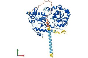 Protein Structure (PS) image for Fucosyltransferase 10 (Alpha (1,3) Fucosyltransferase) (FUT10) (AA 1-479) protein (His tag) (ABIN7547836)