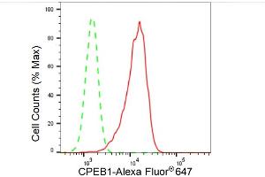 Flow cytometric analysis of CPEB1 expression in HepG2 cells using CPEB1 antibody (ABIN7798266), 1:2,000). (Rekombinanter CPEB1 Antikörper)