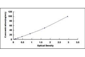 Typical standard curve (SLC7A11 ELISA Kit)