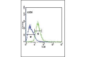 TXTP Antibody (Center) (ABIN651680 and ABIN2840357) flow cytometric analysis of Jurkat cells (right histogram) compared to a negative control cell (left histogram). (TXTP Antikörper  (AA 142-170))