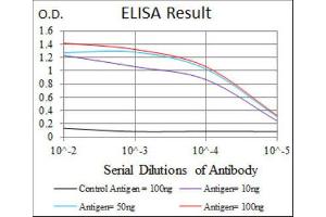ELISA image for anti-Heat Shock Protein 90kDa alpha (Cytosolic), Class A Member 1 (HSP90AA1) antibody (ABIN1843961) (HSP90AA1 Antikörper)