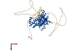NET1 Protein (AA 1-595) (His tag)