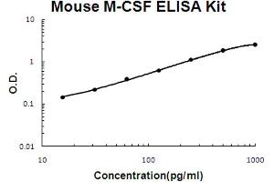 Mouse M-CSF Accusignal ELISA Kit Mouse M-CSF AccuSignal ELISA Kit standard curve.