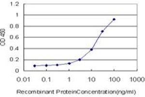 Detection limit for recombinant GST tagged SMO is approximately 0. (SMO Antikörper  (AA 56-155))