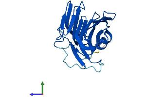 Protein Structure (PS) image for Chromosome 16 Open Reading Frame 80 (C16orf80) (AA 1-193) protein (His tag) (ABIN7553243)
