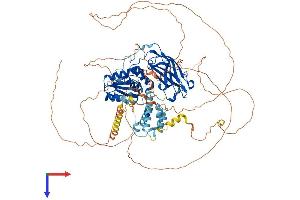 DNAJC6 Protein (AA 1-913) (His tag)