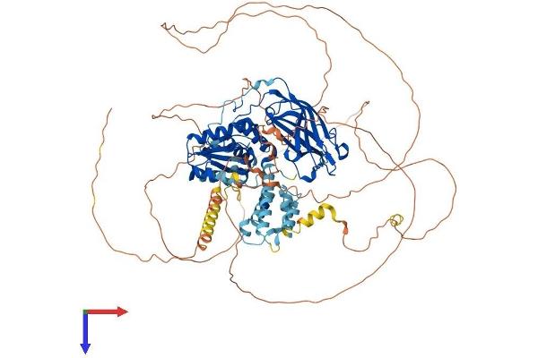 DNAJC6 Protein (AA 1-913) (His tag)