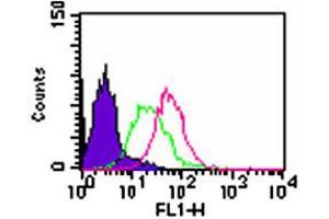 Intracellular flow analysis of Tlr3 in Balb/c mouse splenocytes. (TLR3 Antikörper  (AA 135-150))