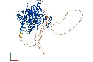 AlphaFold protein structure predicition of Human Recombinant DBR1 Protein, UniprotID Q9UK59