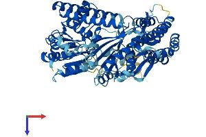 DHX58 Protein (AA 1-678) (His tag)