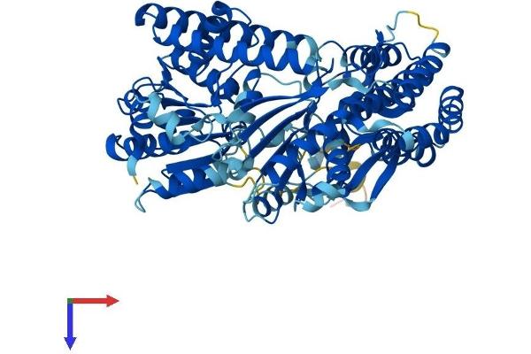 DHX58 Protein (AA 1-678) (His tag)