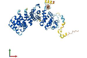AlphaFold protein structure predicition of Mouse Recombinant Ric8b Protein, UniprotID Q80XE1