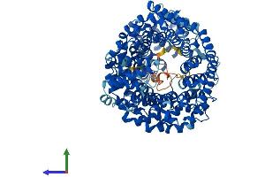 Protein Structure (PS) image for Transportin 2 (TNPO2) (AA 1-897) protein (His tag) (ABIN7555833)