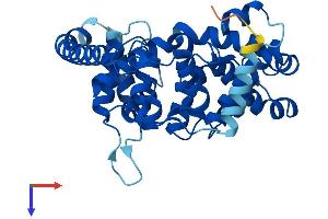 TBC1D21 Protein (AA 1-336) (His tag)