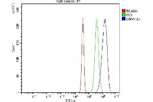 Flow Cytometry analysis of SiHa cells using anti-DNMT3B antibody (ABIN7600778).