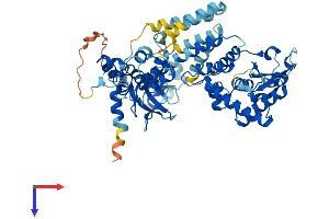 FBXO21 Protein (AA 1-627) (His tag)