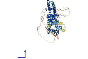Protein Structure (PS) image for Potassium Voltage-Gated Channel, Shaker-Related Subfamily, Member 6 (KCNA6) (AA 1-529) protein (His tag) (ABIN7563933)