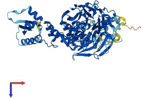 GAN Protein (AA 1-597) (His tag)