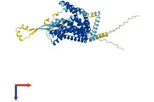 SLC1A3 Protein (AA 1-542) (His tag)