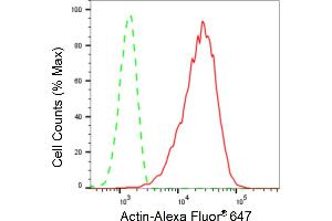 Flow cytometric analysis of Actin expression in C2C12 cells using Actin antibody (ABIN7797458), 1:2,000).