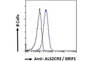 ABIN184943 Flow cytometric analysis of paraformaldehyde fixed HeLa cells (blue line), permeabilized with 0. (TRAK2 Antikörper  (C-Term))