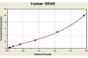Diagramm of the ELISA kit to detect Human BRAKwith the optical density on the x-axis and the concentration on the y-axis.