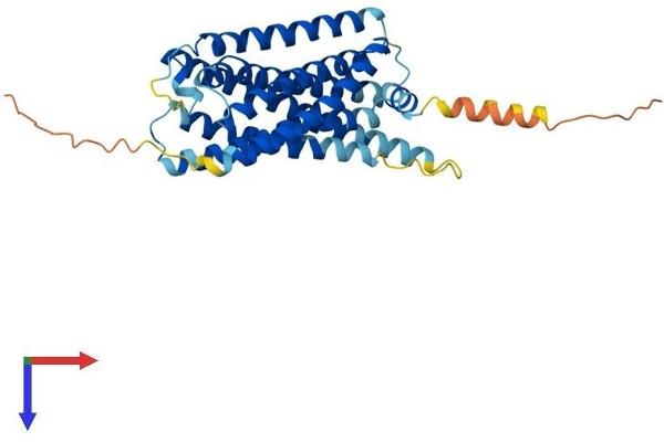 P2RY12 Protein (AA 1-342) (His tag)