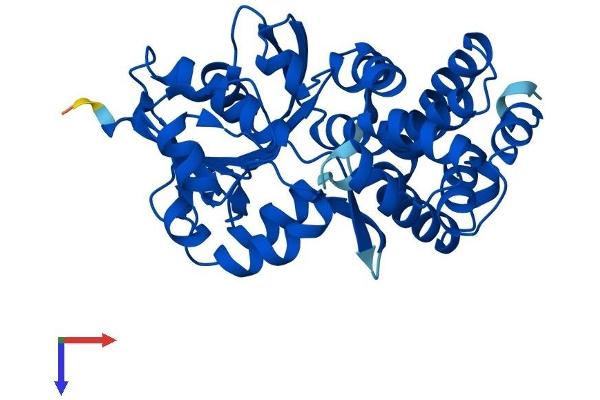 GPD1L Protein (AA 1-351) (His tag)