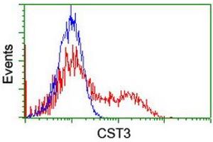 Image no. 2 for anti-Cystatin C (CST3) antibody (ABIN1497753) (CST3 Antikörper)