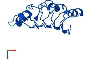 ANP32C Protein (AA 1-123) (His tag)