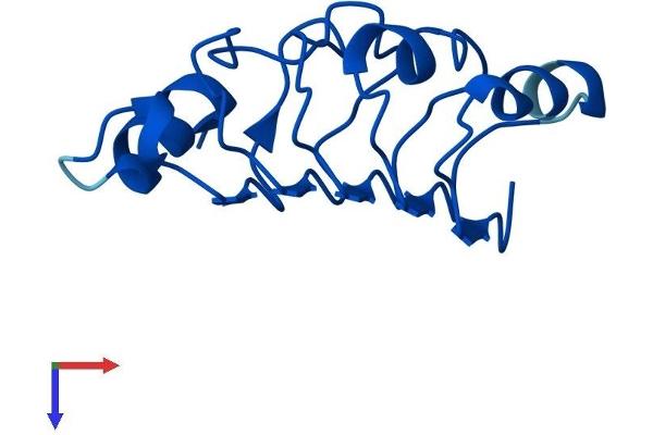 ANP32C Protein (AA 1-123) (His tag)
