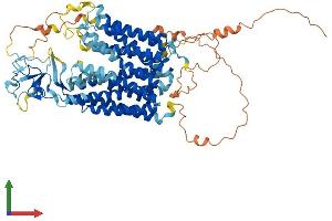 AlphaFold protein structure predicition of Mouse Recombinant Slco3a1 Protein, UniprotID Q8R3L5