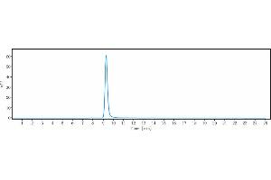 The purity of Anti-BTLA / CD272 Reference Antibody (icatolimab) is 96. (Rekombinanter BTLA (Icatolimab Biosimilar) Antikörper)