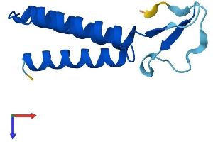 LYRM7 Protein (AA 1-104) (His tag)