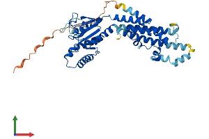 Protein Structure (PS) image for Immunity-Related GTPase Family, M (IRGM) (AA 1-409) protein (His tag) (ABIN7557606)