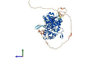 AlphaFold protein structure predicition of Mouse Recombinant Dnaaf3 Protein, UniprotID Q3UYV8