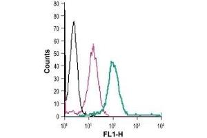 Cell surface detection of GLP1R in live intact human THP-1 monocytic leukemia cells: (black line) Cells. (GLP1R Antikörper  (Extracellular) (FITC))