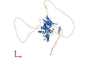 Protein Structure (PS) image for Synapsin III (SYN3) (AA 1-579) protein (His tag) (ABIN7559399)