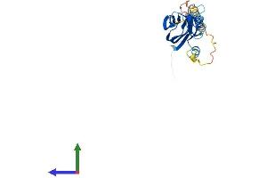 Protein Structure (PS) image for Tumor Necrosis Factor (Ligand) Superfamily, Member 8 (TNFSF8) (AA 1-234) protein (His tag) (ABIN7544659)
