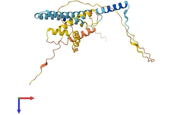 CCDC28A Protein (AA 1-274) (His tag)